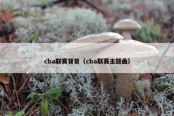 cba联赛背景（cba联赛主题曲）