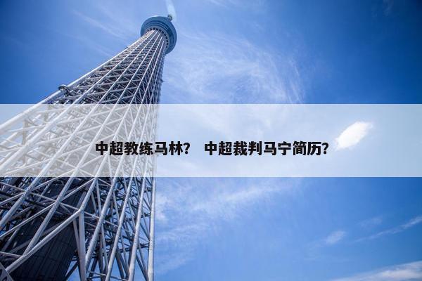 中超教练马林？ 中超裁判马宁简历？