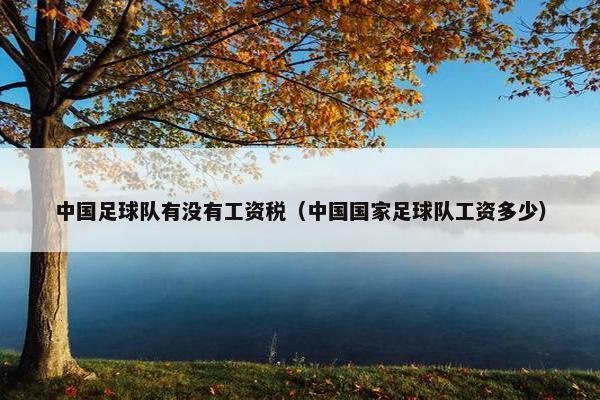中国足球队有没有工资税（中国国家足球队工资多少）