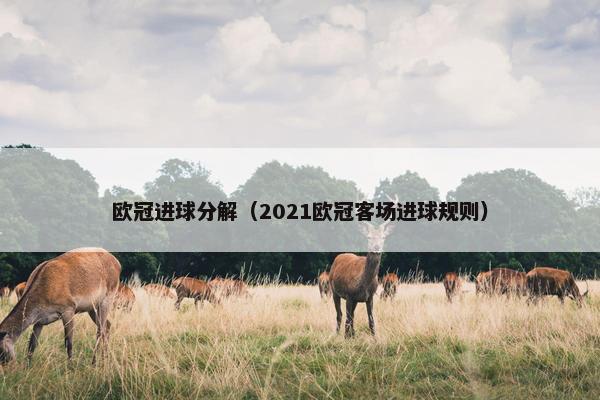 欧冠进球分解（2021欧冠客场进球规则）