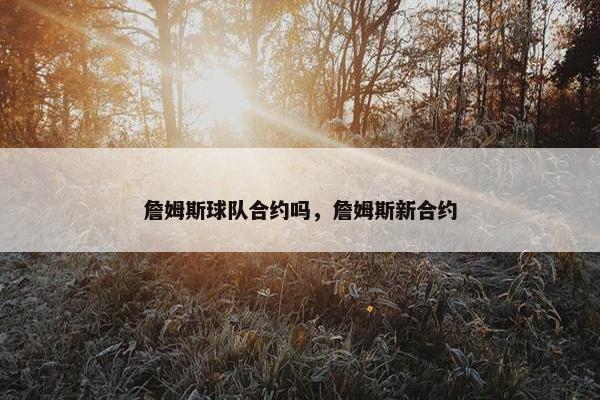 詹姆斯球队合约吗，詹姆斯新合约