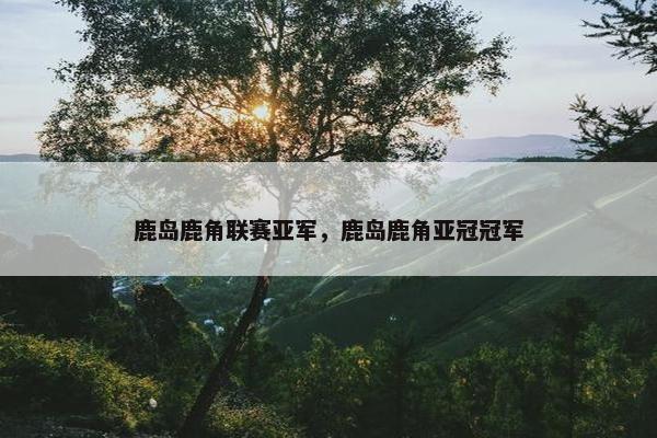 鹿岛鹿角联赛亚军，鹿岛鹿角亚冠冠军
