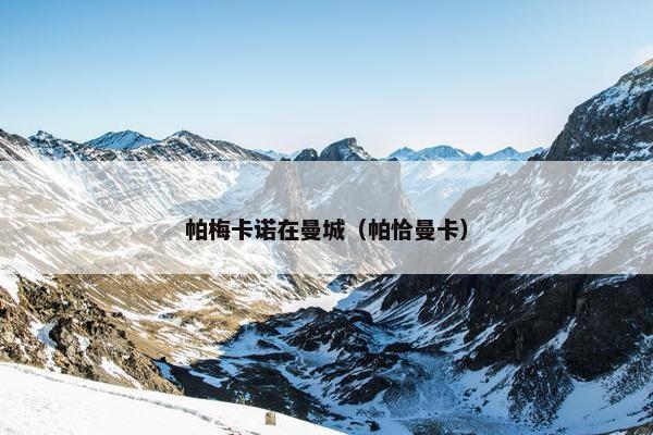 帕梅卡诺在曼城（帕恰曼卡）