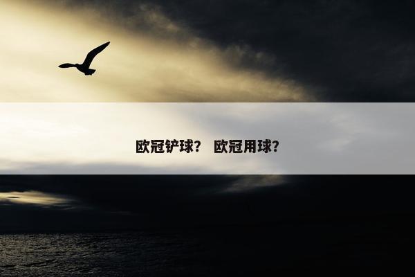欧冠铲球？ 欧冠用球？