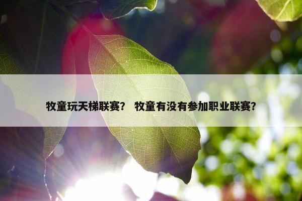 牧童玩天梯联赛？ 牧童有没有参加职业联赛？