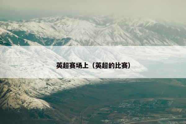 英超赛场上（英超的比赛）