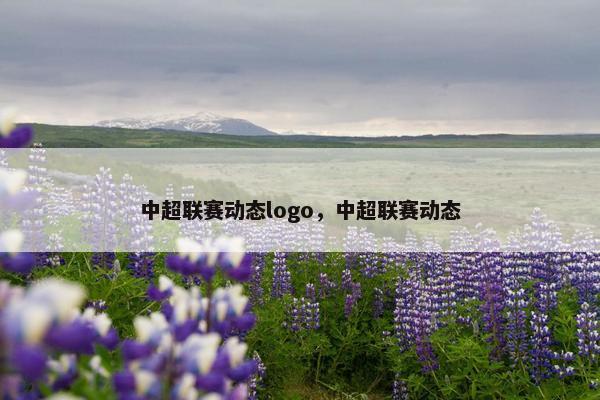 中超联赛动态logo，中超联赛动态