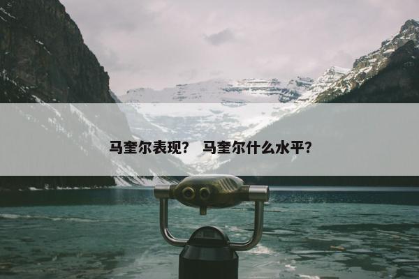 马奎尔表现？ 马奎尔什么水平？
