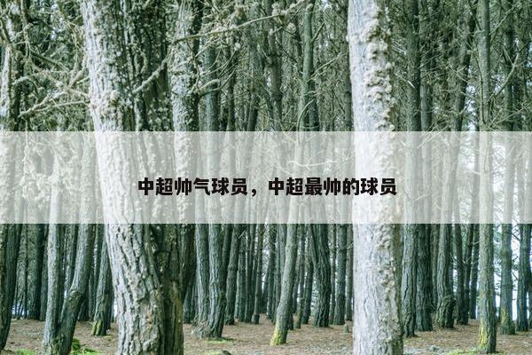 中超帅气球员，中超最帅的球员