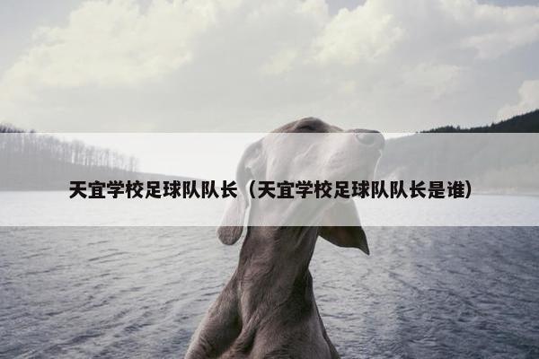 天宜学校足球队队长（天宜学校足球队队长是谁）
