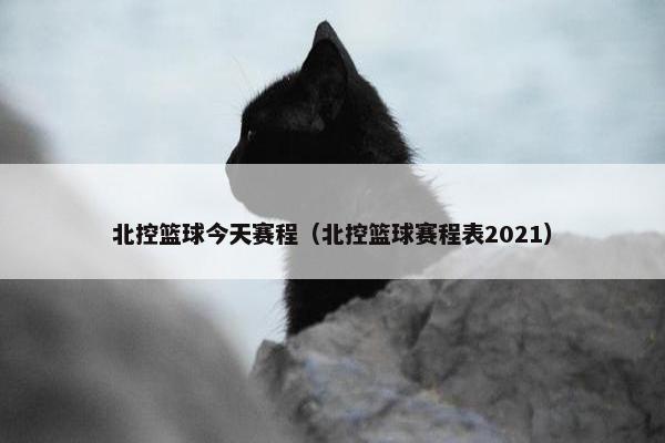 北控篮球今天赛程（北控篮球赛程表2021）