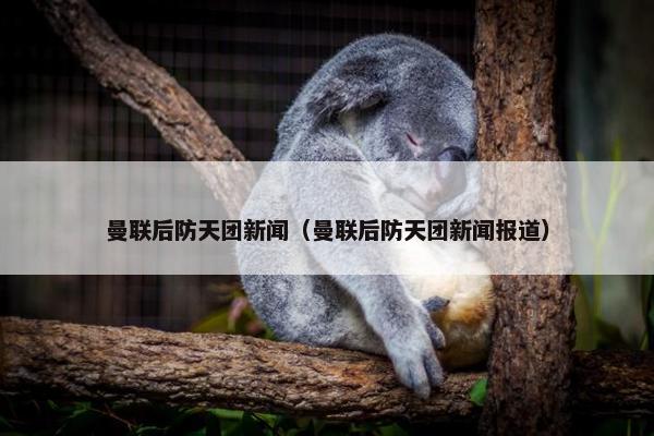 曼联后防天团新闻（曼联后防天团新闻报道）