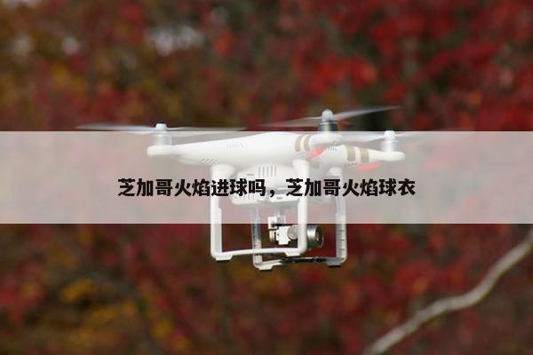 芝加哥火焰进球吗，芝加哥火焰球衣