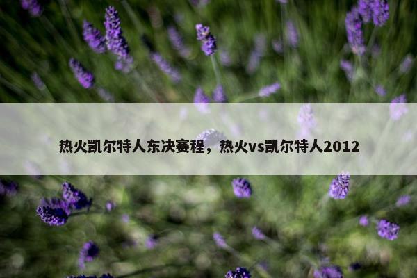 热火凯尔特人东决赛程，热火vs凯尔特人2012