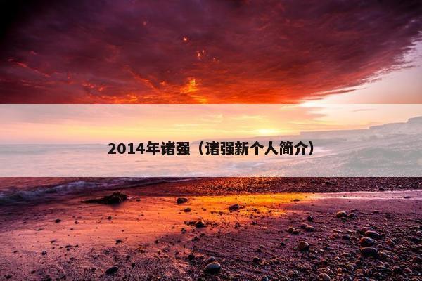 2014年诸强（诸强新个人简介）