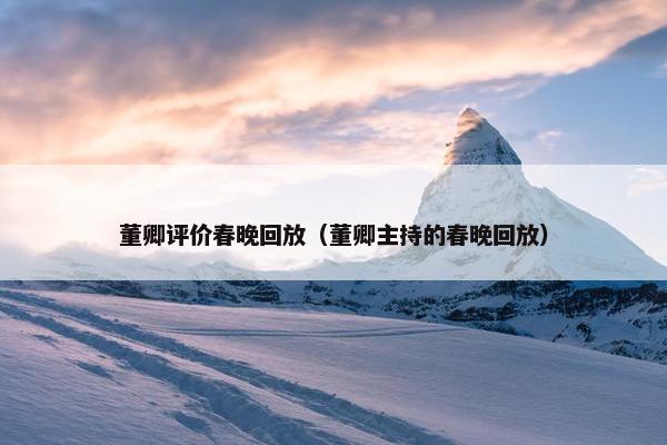 董卿评价春晚回放（董卿主持的春晚回放）