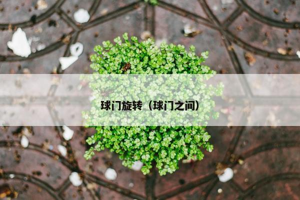 球门旋转（球门之间）