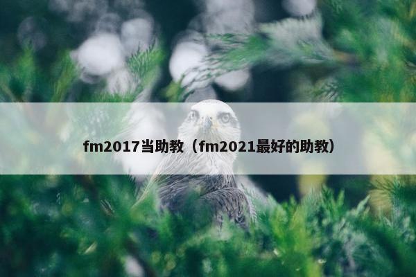 fm2017当助教（fm2021最好的助教）