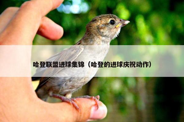 哈登联盟进球集锦（哈登的进球庆祝动作）