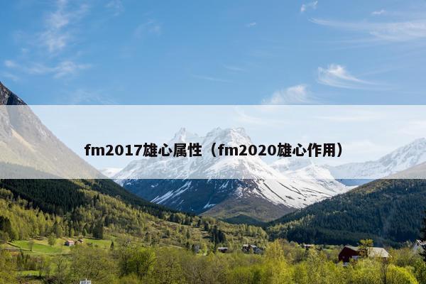 fm2017雄心属性（fm2020雄心作用）