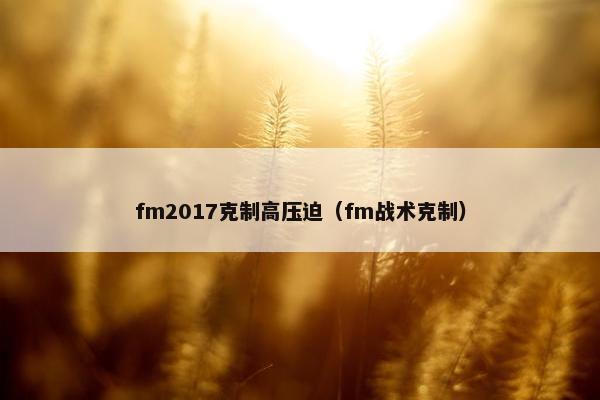 fm2017克制高压迫（fm战术克制）