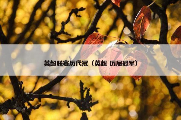 英超联赛历代冠（英超 历届冠军）