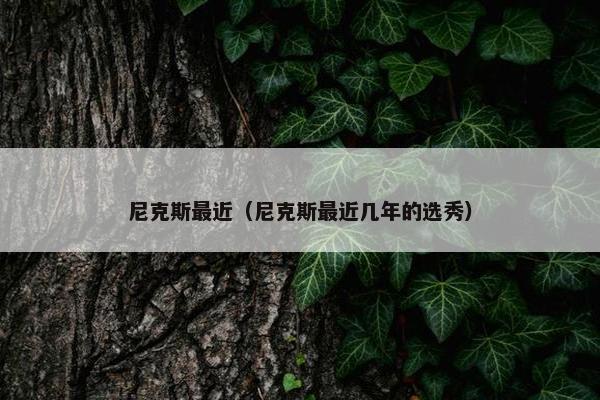 尼克斯最近（尼克斯最近几年的选秀）