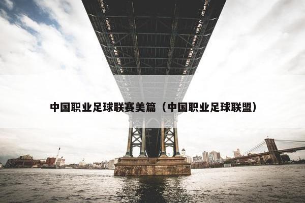 中国职业足球联赛美篇（中国职业足球联盟）