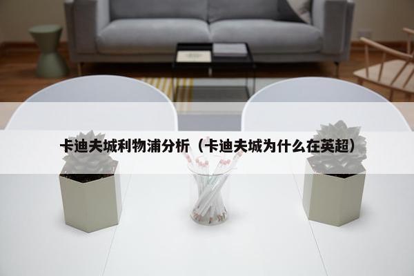 卡迪夫城利物浦分析（卡迪夫城为什么在英超）