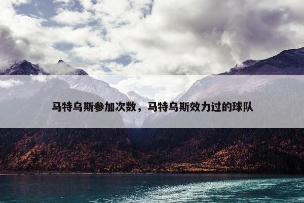 马特乌斯参加次数，马特乌斯效力过的球队