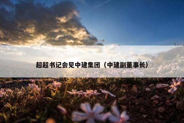 超超书记会见中建集团（中建副董事长）