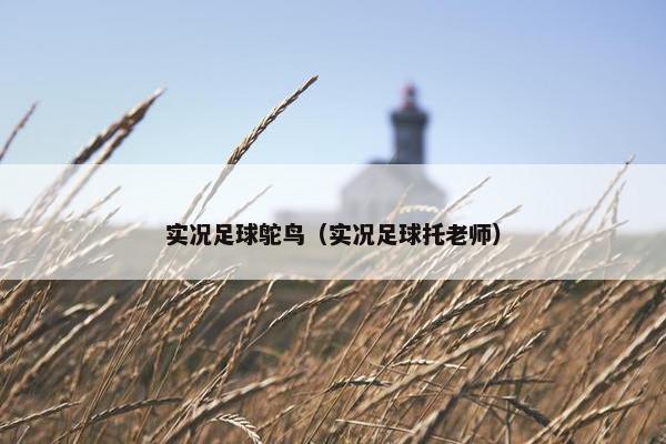 实况足球鸵鸟（实况足球托老师）