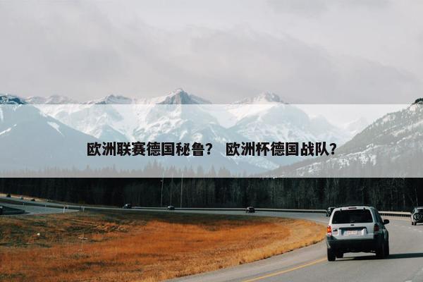 欧洲联赛德国秘鲁？ 欧洲杯德国战队？