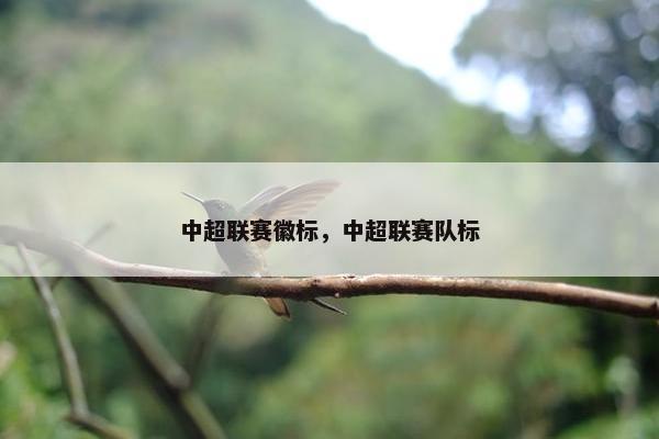 中超联赛徽标，中超联赛队标