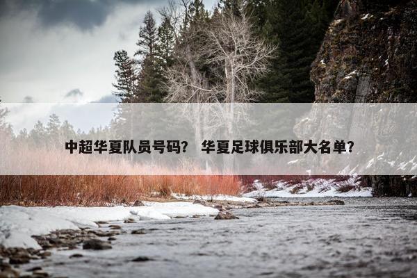 中超华夏队员号码？ 华夏足球俱乐部大名单？