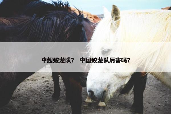 中超蛟龙队？ 中国蛟龙队厉害吗？