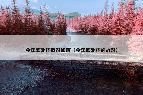 今年欧洲杯概况如何（今年欧洲杯的战况）