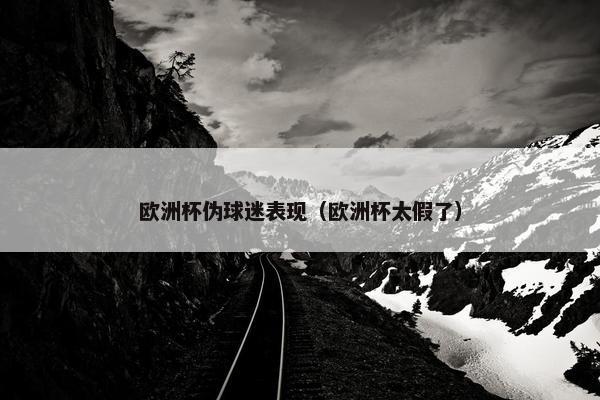 欧洲杯伪球迷表现（欧洲杯太假了）