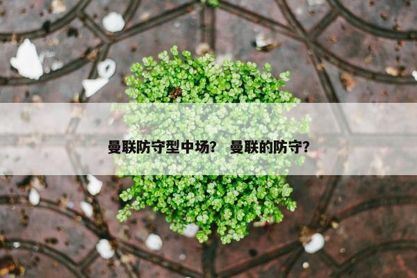 曼联防守型中场？ 曼联的防守？