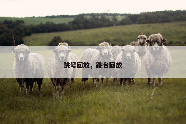 跳号回放，跳台回放