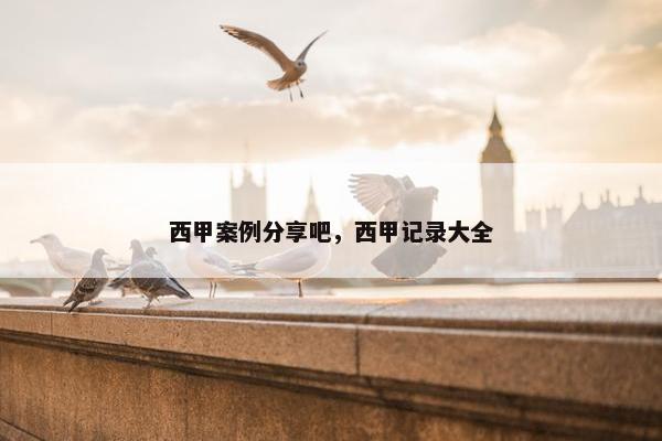 西甲案例分享吧，西甲记录大全