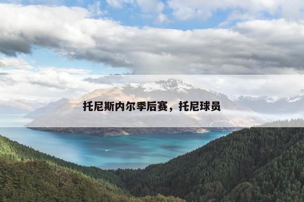 托尼斯内尔季后赛，托尼球员