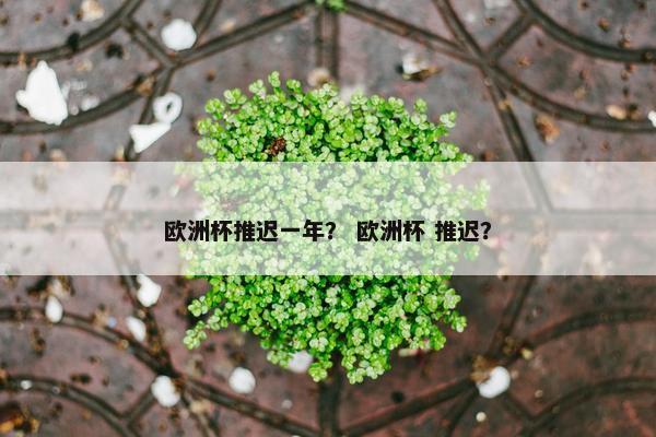 欧洲杯推迟一年？ 欧洲杯 推迟？