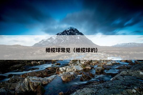 橄榄球常见（橄榄球的）