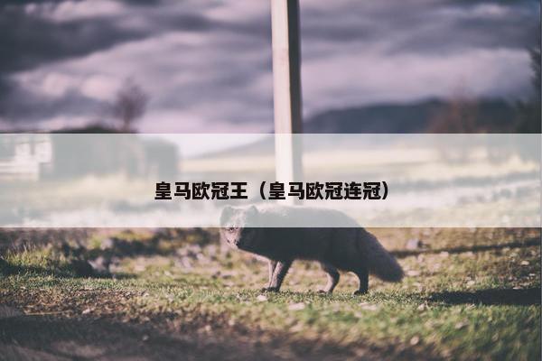 皇马欧冠王（皇马欧冠连冠）