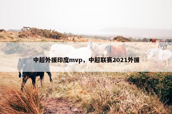中超外援印度mvp，中超联赛2021外援