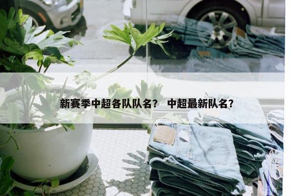 新赛季中超各队队名？ 中超最新队名？