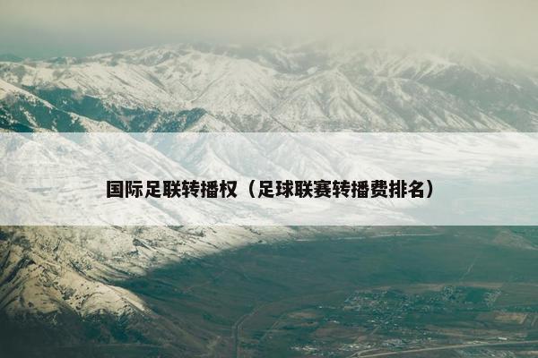 国际足联转播权（足球联赛转播费排名）
