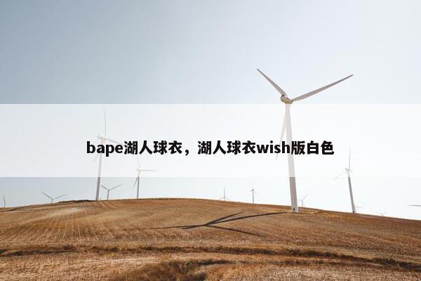 bape湖人球衣，湖人球衣wish版白色