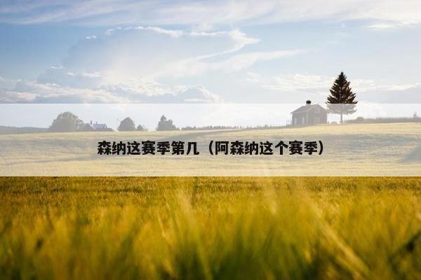森纳这赛季第几（阿森纳这个赛季）